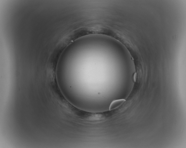 X0000112150609200908141216