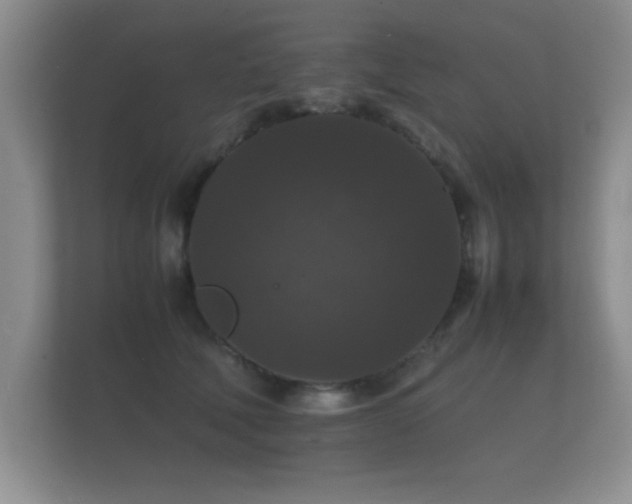 X0000112150610200908141216