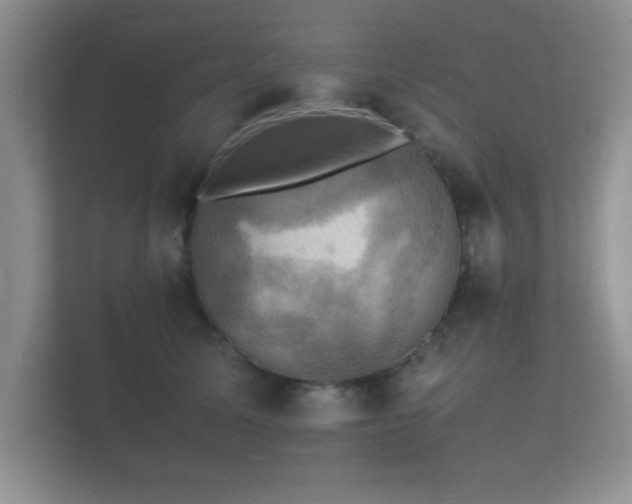 X0000112150611200908141216