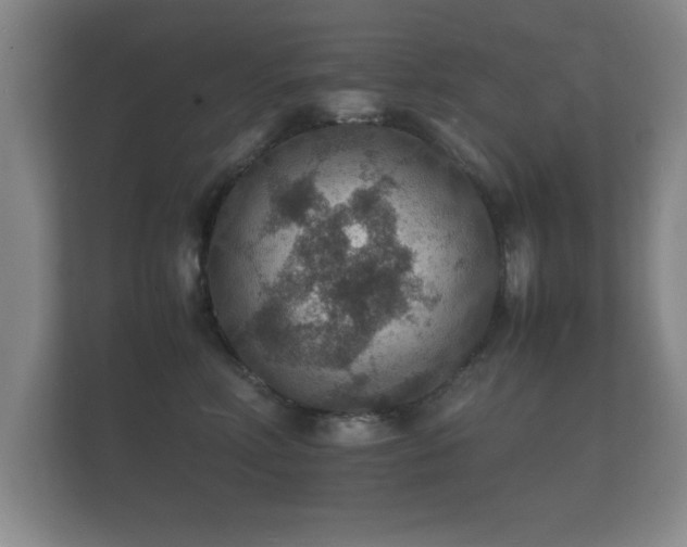 X0000112150618200908141216