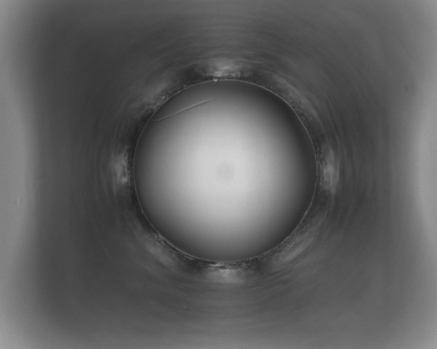 X0000112150620200908141216