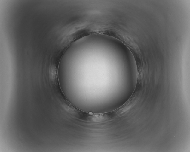 X0000112150623200908141216