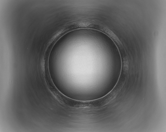 X0000112150626200908141215