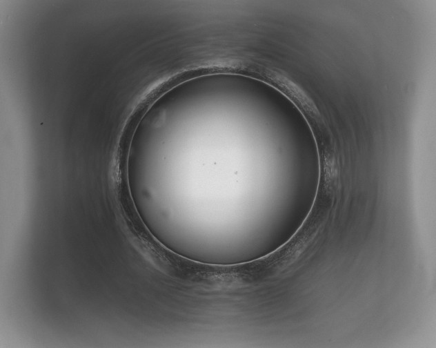 X0000112150628200908141215