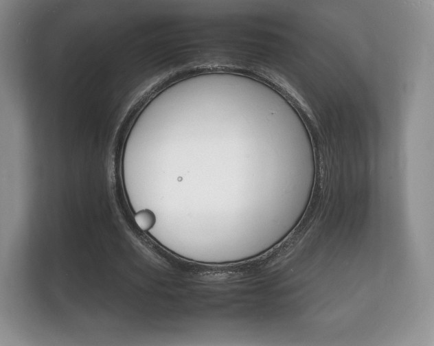 X0000112150629200908141215