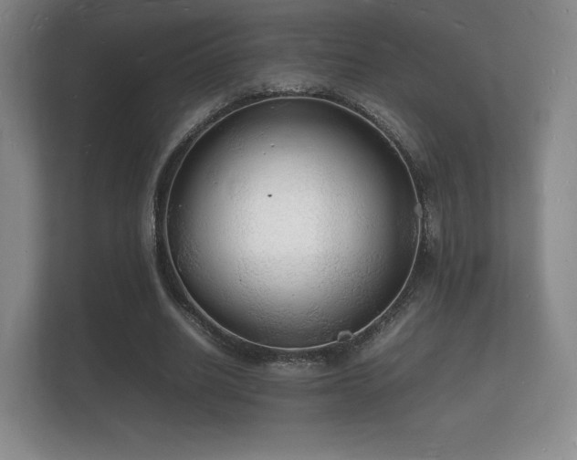 X0000112150630200908141215