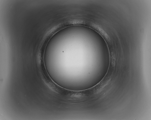 X0000112150631200908141215
