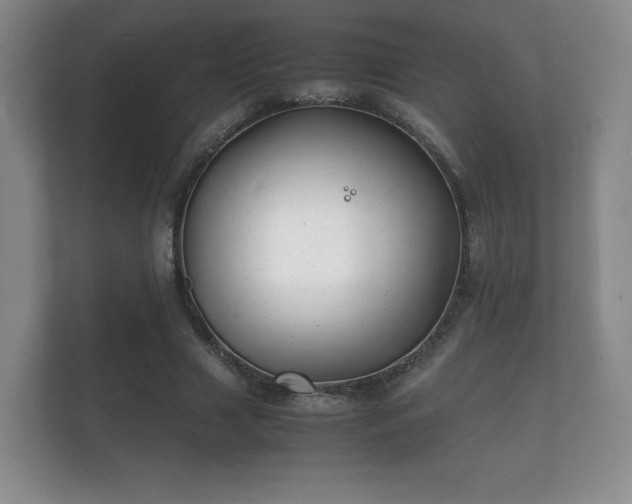 X0000112150633200908141215