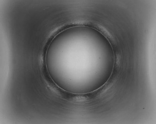 X0000112150636200908141215