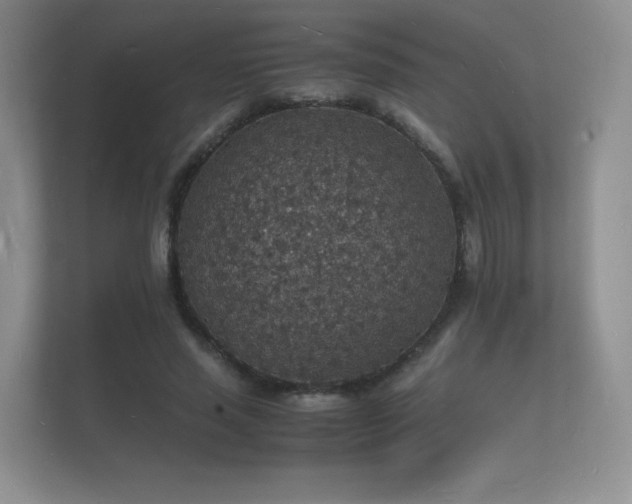 X0000112150637200908141215