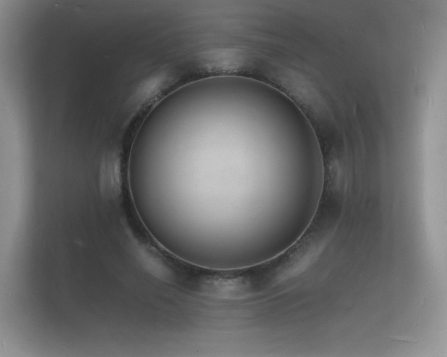 X0000112150638200908141215