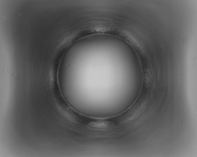 X0000112150639200908141215