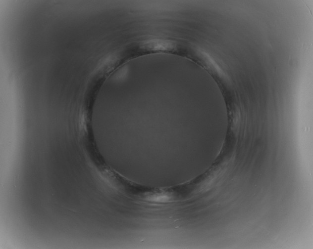 X0000112150643200908141215