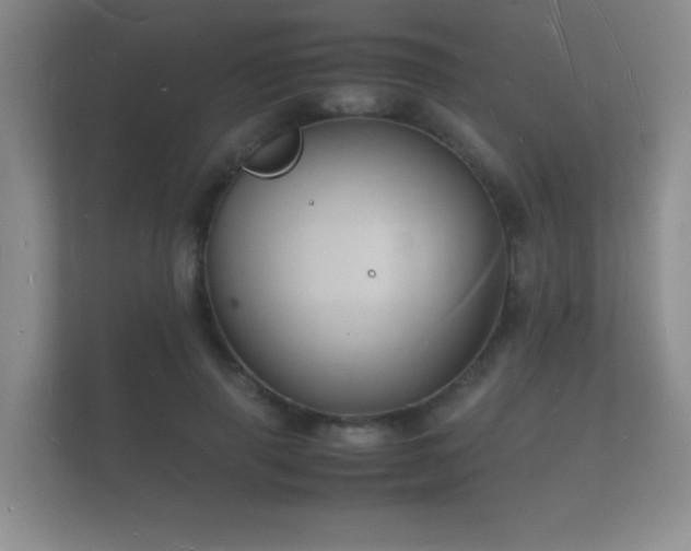 X0000112150645200908141215