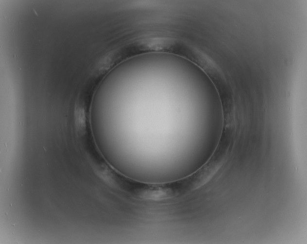 X0000112150646200908141215