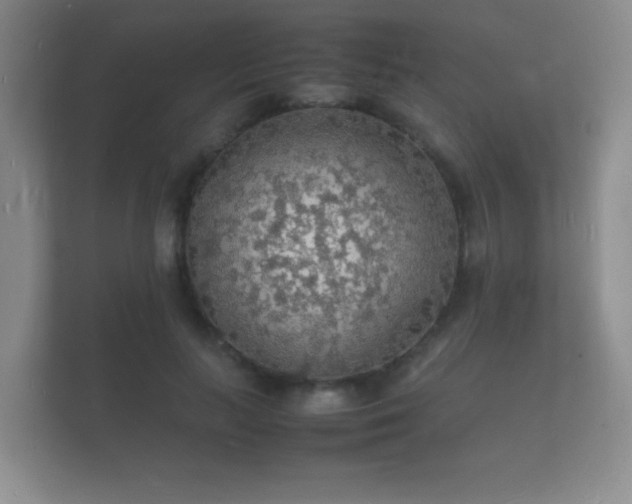 X0000112150647200908141215