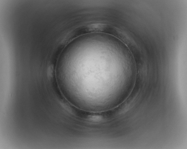 X0000112150649200908141215