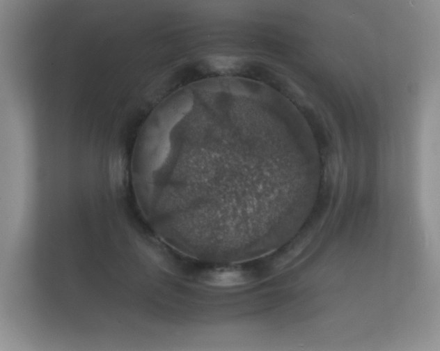 X0000112150651200908141215