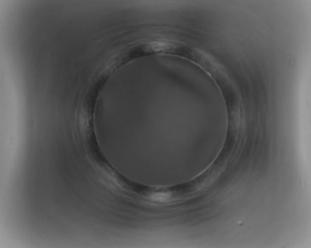 X0000112150653200908141215