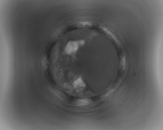 X0000112150659200908141215