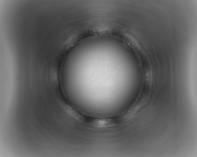 X0000112150662200908141215