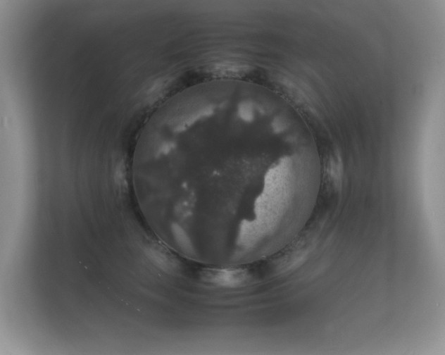 X0000112150663200908141215
