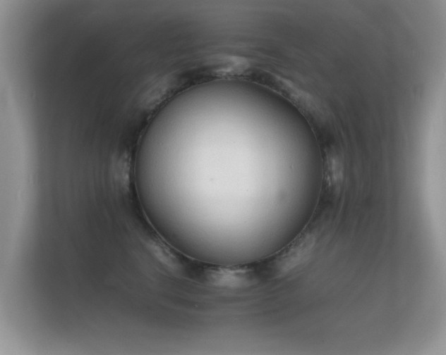 X0000112150664200908141215