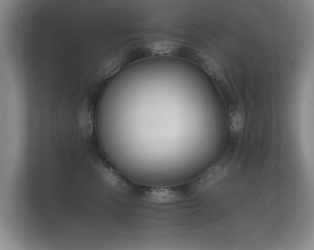 X0000112150666200908141215