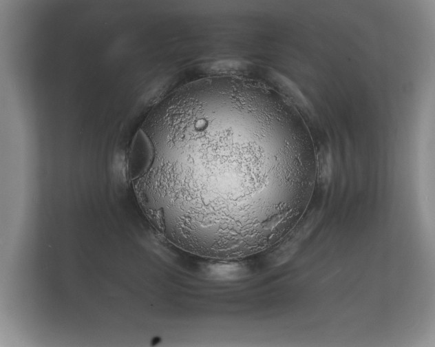 X0000112150669200908141216