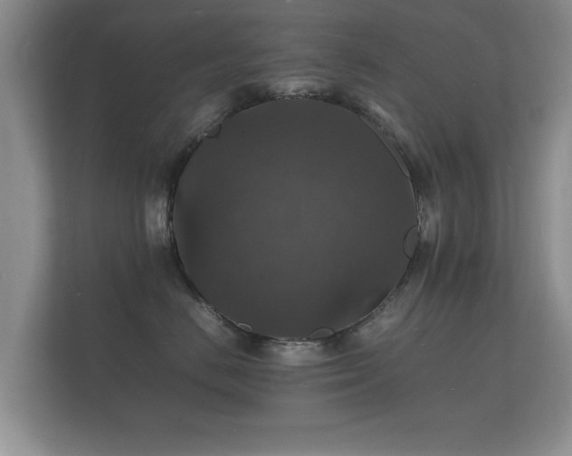 X0000112150670200908141216
