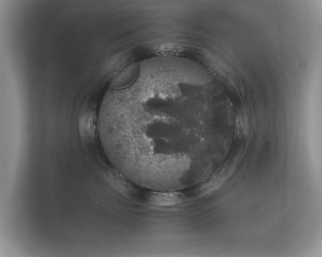 X0000112150671200908141216