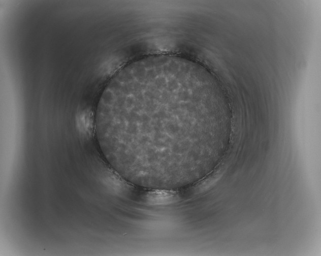 X0000112150672200908141216