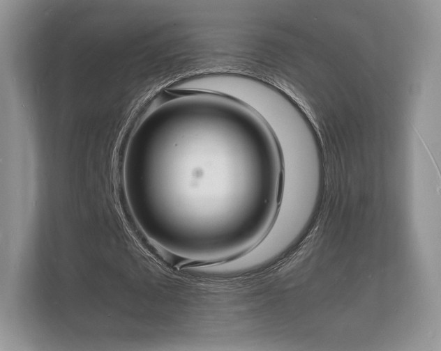 X0000112150673200908141215