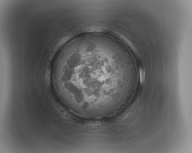 X0000112150675200908141215