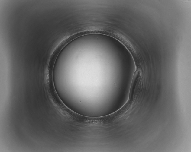X0000112150676200908141215
