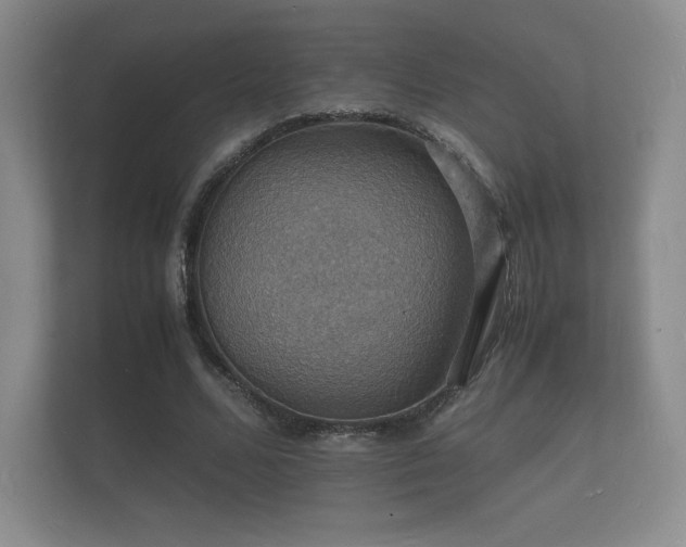 X0000112150680200908141215