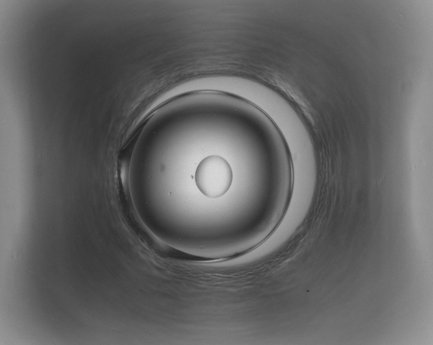 X0000112150681200908141215