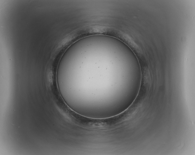 X0000112150683200908141215