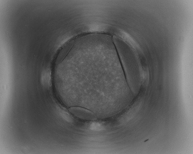 X0000112150684200908141215