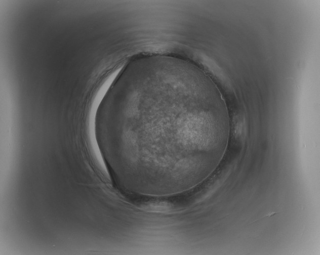X0000112150685200908141215