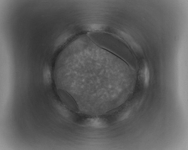X0000112150688200908141215