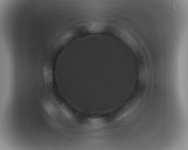 X0000112150689200908141215