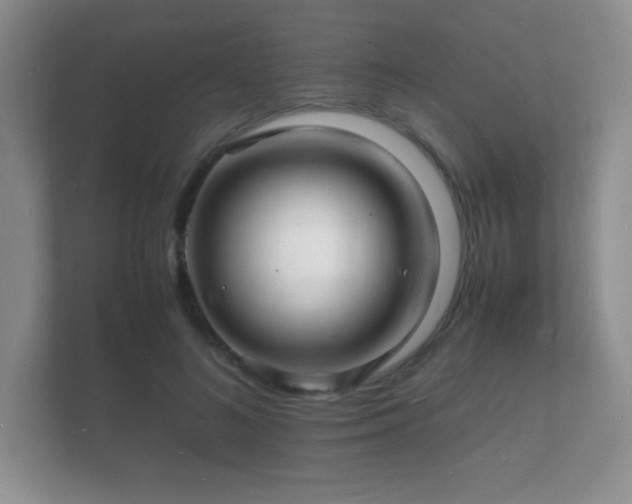 X0000112150692200908141215