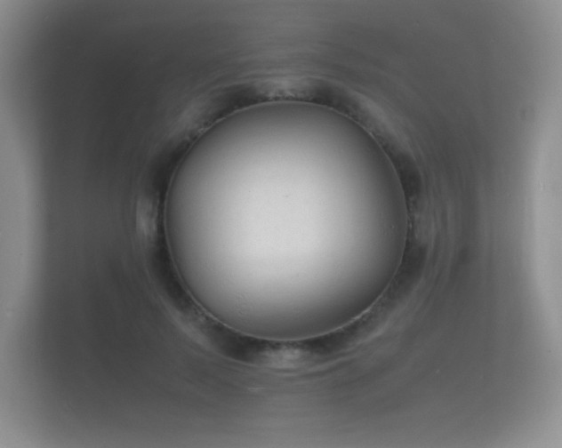 X0000112150695200908141215