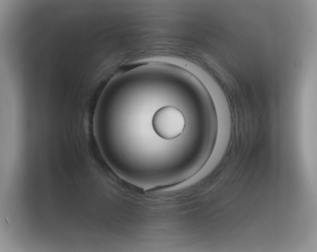 X0000112150696200908141215