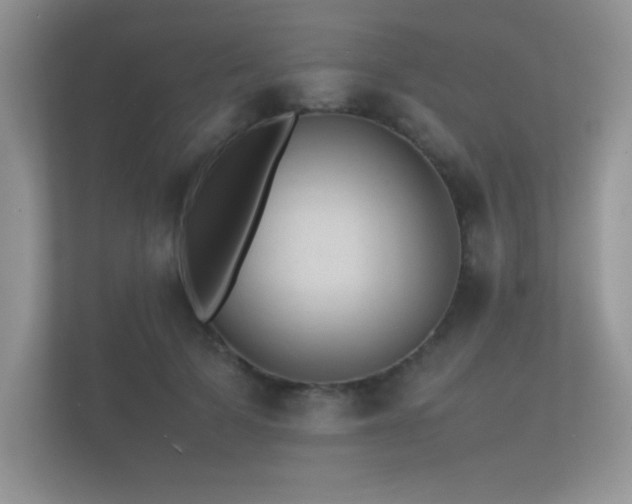 X0000112150697200908141215