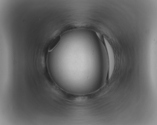 X0000112150700200908141215