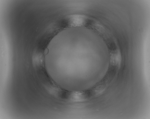 X0000112150701200908141215