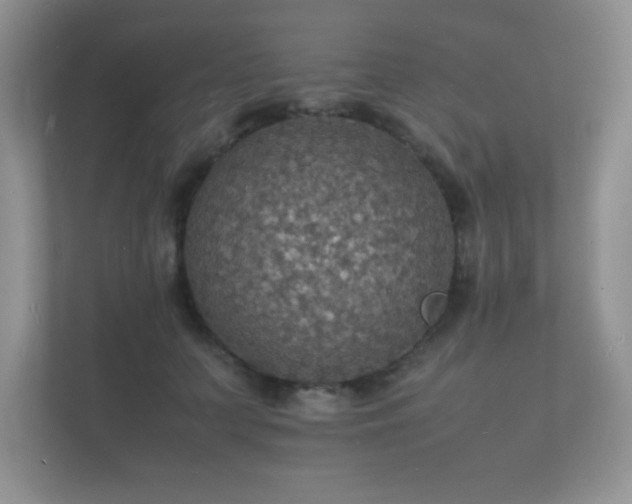 X0000112150703200908141215