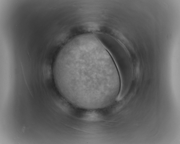 X0000112150704200908141215